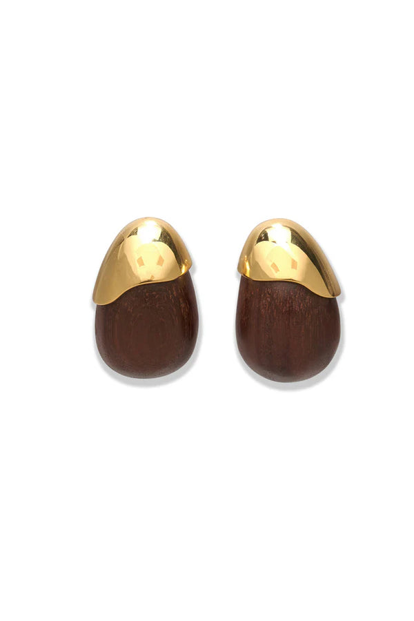 Toro Earrings