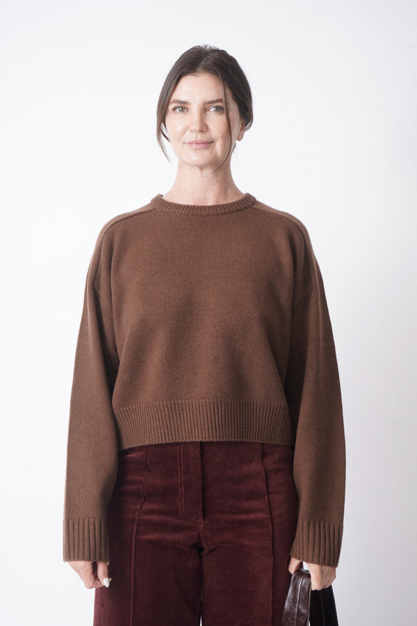 Bruzzi in Brown