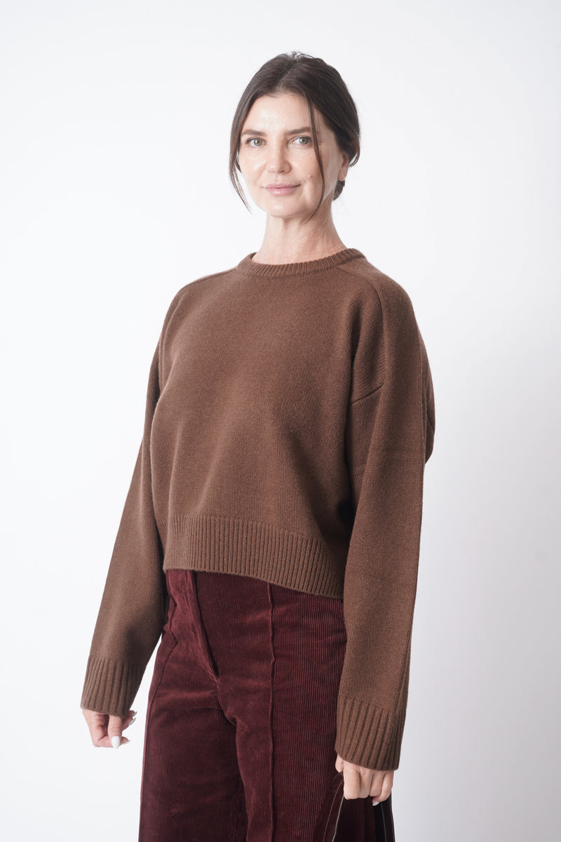 Bruzzi in Brown