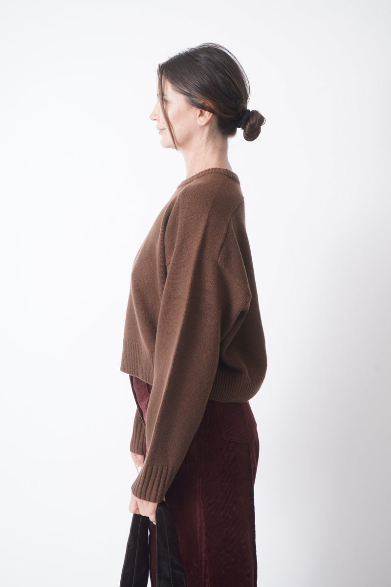 Bruzzi in Brown