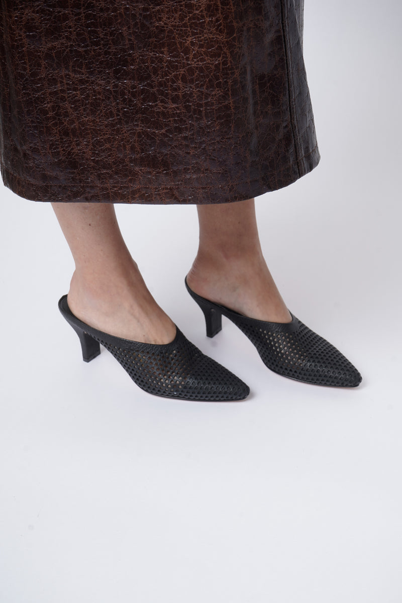 Alder Mule