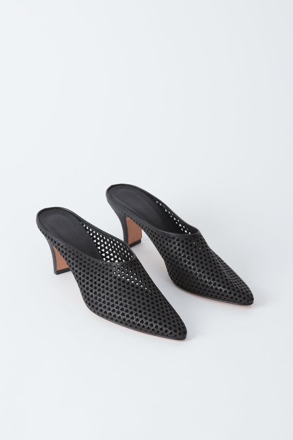 Alder Mule